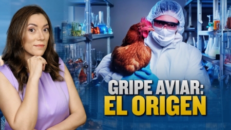 El origen de la gripe aviar H5N2 ¿Que hay detrás? | Al Descubierto