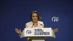 El Partido Popular gana las elecciones europeas en España con cuatro puntos más que el PSOE