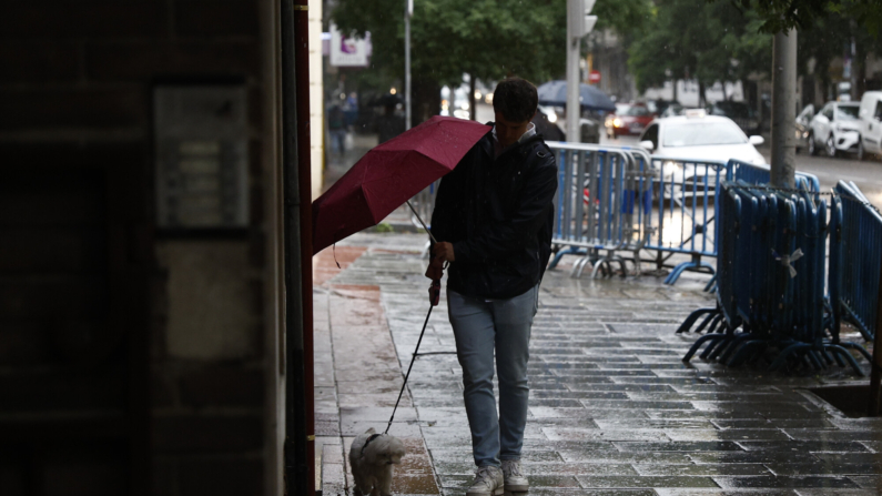 Un viandante cubre a su perro con el paraguas una mañana lluviosa en Madrid este lunes. EFE/ Rodrigo Jiménez