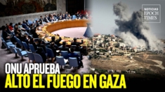 ONU aprueba alto el fuego en Gaza propuesto por Biden; Fuerte incendio en apartamentos de Miami | NET