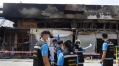 Más de 1000 animales exóticos mueren en incendio de un mercado de mascotas tailandés