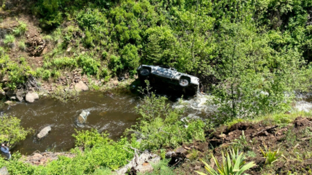 Perro herido corre 6 km para pedir ayuda luego que la camioneta de su dueño cayera al río