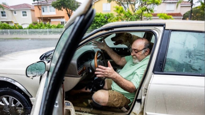 Mike Viesel, y su perro Humi, esperan en su coche inundado a una grúa después de que se quedaran varados en la calle Taft debido a las fuertes lluvias que inundaron el barrio de Hollywood, Florida, el 12 de junio de 2024. (Matias J. Ocner/Miami Herald via AP)