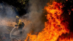 Impacto del humo de incendios forestales en California los hace más mortales a largo plazo: Estudio