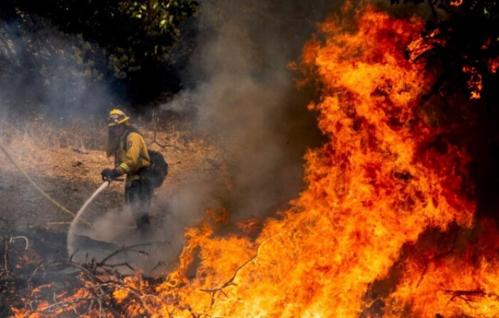 Un bombero lucha contra el incendio Oak en el condado de Mariposa, California, el 23 de julio de 2022. (Noah Berger/Foto AP)