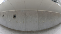 Banco Mundial aprueba préstamo de 1000 millones para modernizar la economía de México