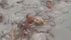Policías héroes no dudaron en meterse a un lago congelado para salvar la vida de un perrito