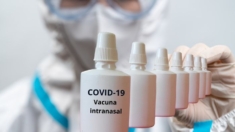 Próximo ensayo clínico a gran escala de vacuna intranasal contra COVID, tendrá 10,000 participantes