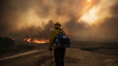 Evacúan a unas 1200 personas por un incendio forestal a las afueras de Los Ángeles