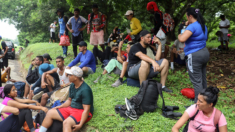 Detectan a más de un millón de inmigrantes ilegales en México en lo que va del año