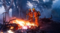 Bomberos ganan terreno contra gran incendio forestal pese a altas temperaturas y viento en California