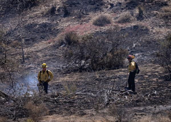 Los bomberos trabajan para extinguir el incendio Post en las afueras de Gorman, California, el 17 de junio de 2024. (John Fredricks