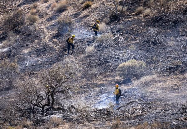 Los bomberos trabajan en el incendio Post en las afueras de Gorman, California, el 17 de junio de 2024. (John Fredricks/The Epoch Times)