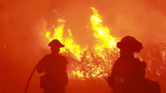 Primer gran incendio forestal de 2024 en LA sigue sin ser controlado