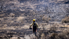 Bomberos hacen progresos en incendios forestales de California, pero el humo podría ser un problema