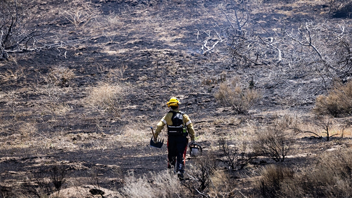 Los bomberos trabajan para extinguir el incendio Post en las afueras de Gorman, California, el 17 de junio de 2024. (John Fredricks/The Epoch Times)