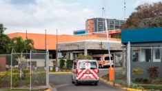 Costa Rica registra la segunda muerte humana a causa del gusano barrenador