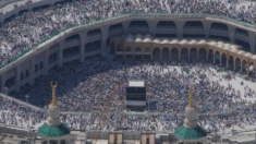 Más de 1000 personas murieron este año en peregrinación islámica a La Meca