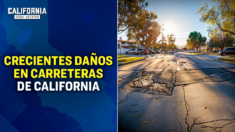 Los desastres crecen en las carreteras de California: ¿Por qué hay en tan mal estado?| Laurie Davies