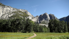 Hallan a niño de 4 años que desapareció de un campamento tras 22 horas solo en la naturaleza: California