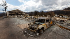 FBI anuncia recompensa de USD 10,000 en investigación de incendios forestales de Nuevo México