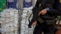Detienen a 4 colombianos con 900 kilos de cocaína en España