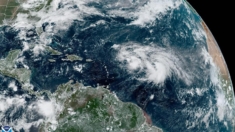 Se forma depresión en Atlántico que puede llegar a ser primer huracán de la temporada