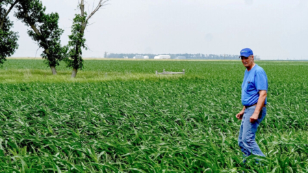 Junta de Servicios Públicos de Iowa aprueba el dominio eminente para un controvertido ducto de CO2