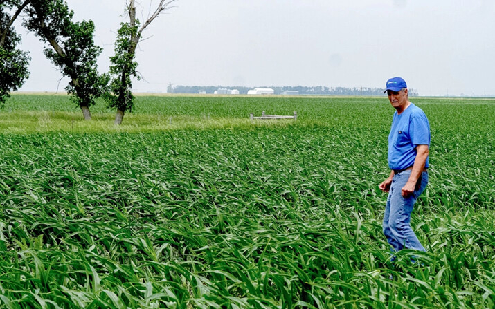 Ed Fishbach, agricultor de Dakota del Sur de cuarta generación, lidera la oposición a una propuesta de ducto de captura de carbono en 5 estados presentada por Summit Carbon Solutions, con sede en Iowa. (Allan Stein/The Epoch Times)