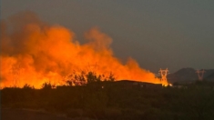 Levantan órdenes de evacuación a residentes de Arizona que dejaron sus casas por un incendio forestal