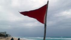 Caricom aplaza su cumbre anual por el paso del huracán Beryl de categoría 4