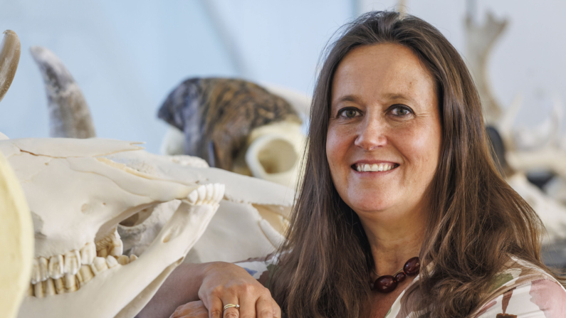 La directora del CENIEH, María Martinón, posa durante una entrevista con EFE en el Centro Nacional de Investigación sobre la Evolución Humana (CENIEH) en Burgos. EFE/Santi Otero