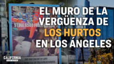 Dueño de tienda de Los Ángeles detiene a ladrones mientras los hurtos aumentan un 81% | Fraser Ross