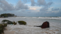 Navieras desvían y cancelan cruceros ante el avance del huracán Beryl por el Caribe