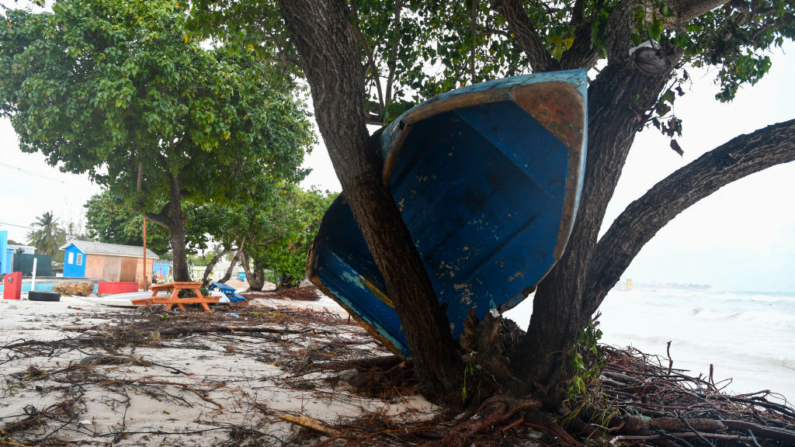 Un barco acabó en un árbol tras el paso del huracán Beryl en los jardines de Oistins, Christ Church, Barbados, el 1 de julio de 2024. (Randy Brooks/AFP vía Getty Images)