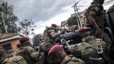EE.UU. celebra tregua humanitaria temporal en el Congo en medio de creciente violencia