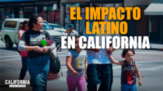 Por qué importa el éxito latino en California: estudio revela | S. Ursúa | G. Romero | M. Toplansky