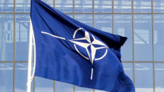 La OTAN revelará un «puente hacia la adhesión» de Ucrania, dice funcionario estadounidense