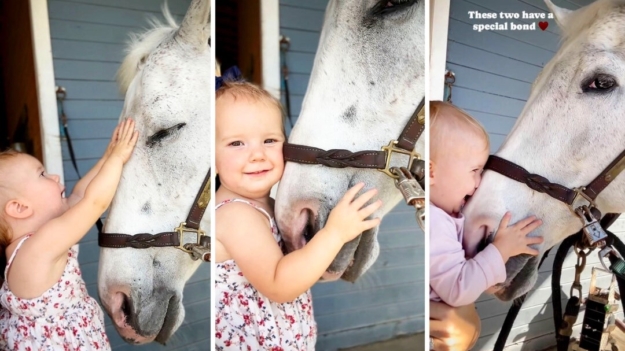 Para derretirse: Niña adora a un apacible caballo que se deja besar y acariciar la nariz I VIDEO