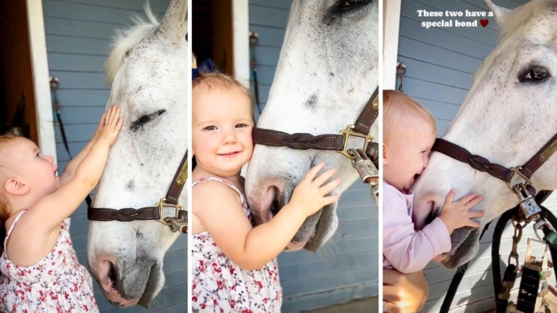 Lucy Ugarte y el caballo Brooke. (Cortesía de Dreaming Tree Farms)
