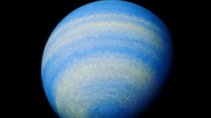 Detectan sustancia química apestosa en un planeta alienígena similar a Júpiter