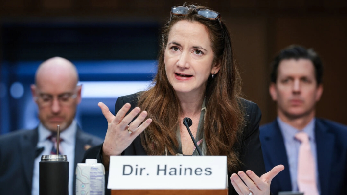 La Directora de Inteligencia Nacional Avril Haines testifica ante el Comité de Servicios Armados del Senado en Washington el 2 de mayo de 2024. (Win McNamee/Getty Images)