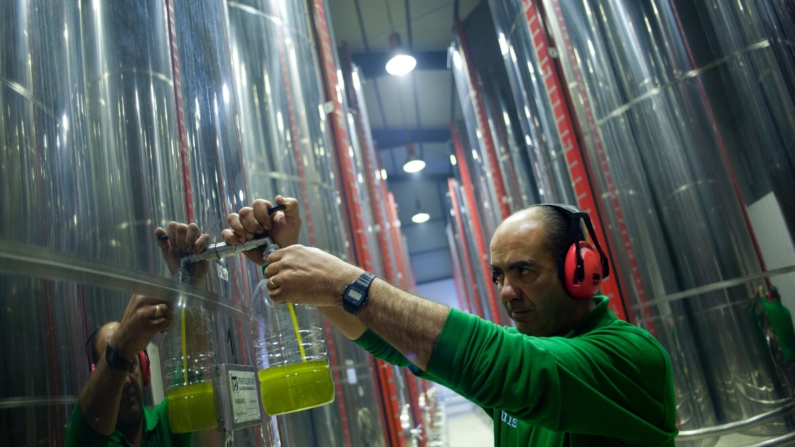 Imagen ilustrativa de la elaboración del aceite de oliva.  (Photo: JORGE GUERRERO/AFP via Getty Images)