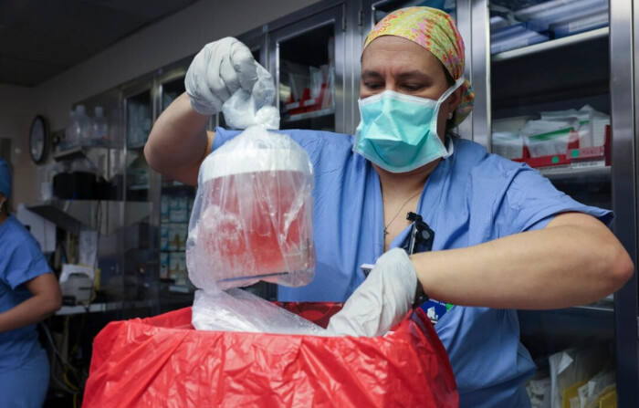 Melissa Mattola-Kiatos, RN, especialista en prácticas de enfermería, saca el riñón de cerdo de su caja para prepararlo para el trasplante en el Hospital General de Massachusetts, en Boston, Massachusetts, el 16 de marzo de 2024. Richard "Rick" Slayman, el primer receptor de un trasplante de riñón de cerdo modificado genéticamente,  falleció casi dos meses después de someterse a la intervención, según informaron el 11 de mayo de 2024 su familia y el hospital que llevó a cabo la cirugía. (Hospital General de Massachusetts vía AP)
