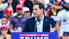 Trump destaca a Rubio durante mitin en Florida entre especulaciones de quién será su vicepresidente