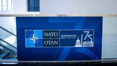 OTAN lanzará iniciativas sobre Ucrania, inteligencia artificial, desinformación y ciberseguridad