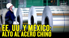EE. UU. y México contra evasión arancelaria de China en acero; Haley exhorta a votar por Trump | NET