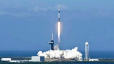 Starlink de Musk gana aprobación para nuevos satélites, luego que corte rechazara una impugnación