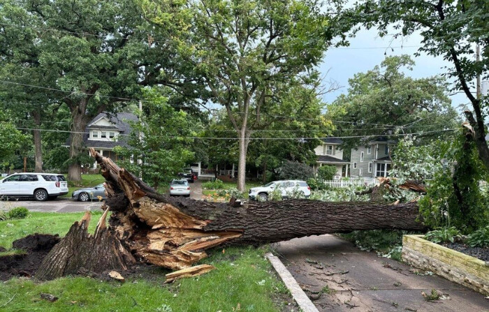 Un árbol caído yace sobre una entrada para autos luego de que fuertes vientos azotaran Des Moines, Iowa, el 15 de julio de 2024. (Scott McFetridge/AP Photo)
