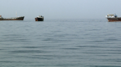 Rescatan con vida a 9 tripulantes de petrolero volcado frente a costa de Omán